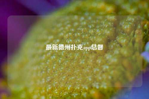 最新德州扑克app总督