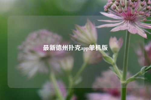 最新德州扑克app单机版