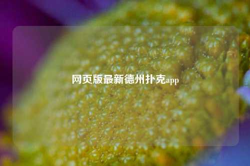 网页版最新德州扑克app