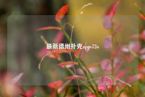 最新德州扑克app 72o