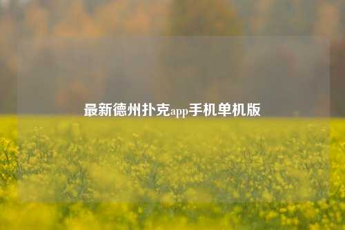 最新德州扑克app手机单机版