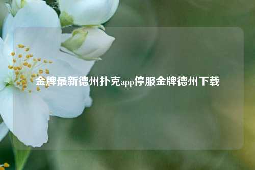 金牌最新德州扑克app停服金牌德州下载