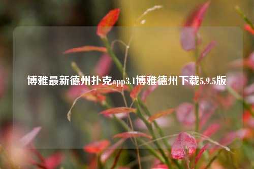 博雅最新德州扑克app3.1博雅德州下载5.9.5版
