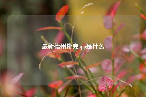 最新德州扑克app是什么