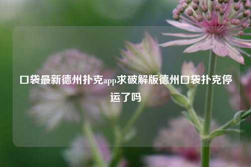 口袋最新德州扑克app求破解版德州口袋扑克停运了吗
