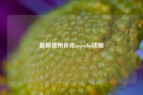 最新德州扑克appmbp钱圈