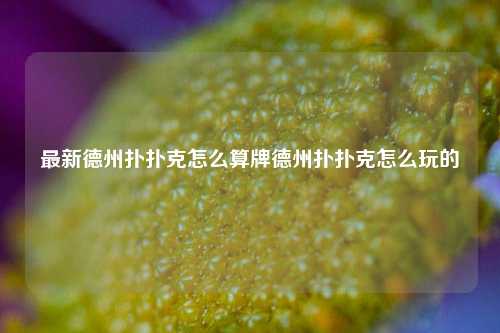 最新德州扑扑克怎么算牌德州扑扑克怎么玩的