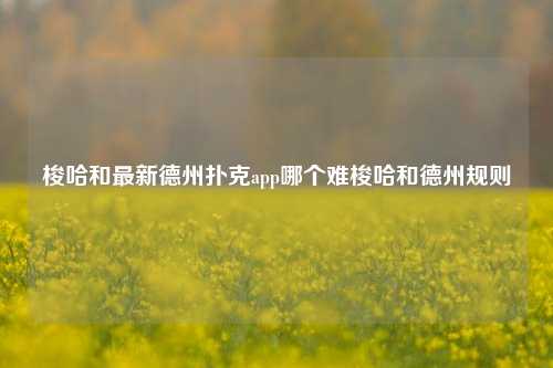梭哈和最新德州扑克app哪个难梭哈和德州规则