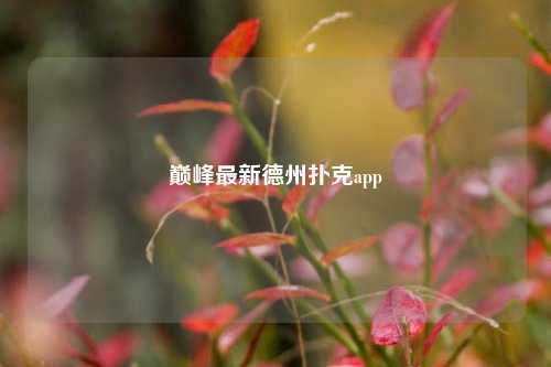 巅峰最新德州扑克app
