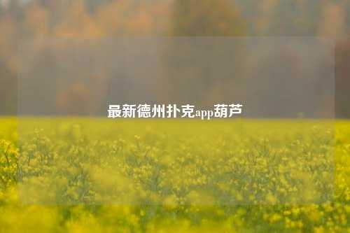 最新德州扑克app葫芦