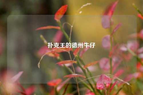 扑克王的德州牛仔