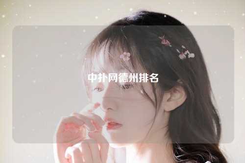 中扑网德州排名