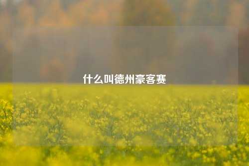 什么叫德州豪客赛