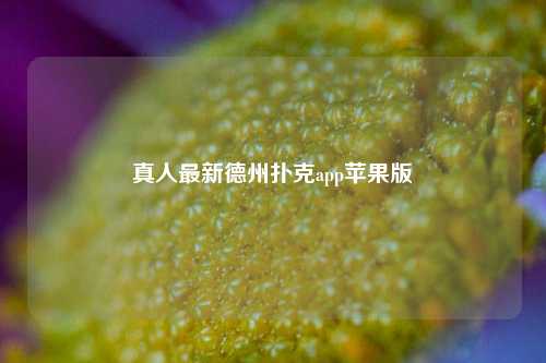 真人最新德州扑克app苹果版
