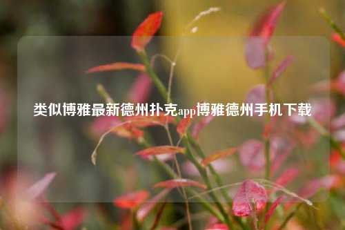 类似博雅最新德州扑克app博雅德州手机下载