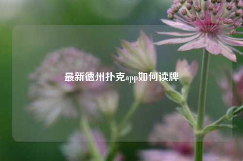 最新德州扑克app如何读牌