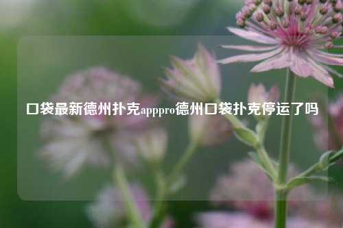 口袋最新德州扑克apppro德州口袋扑克停运了吗