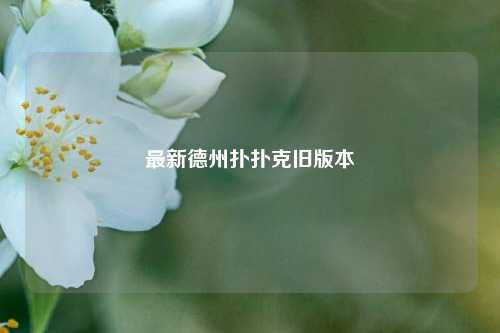 最新德州扑扑克旧版本