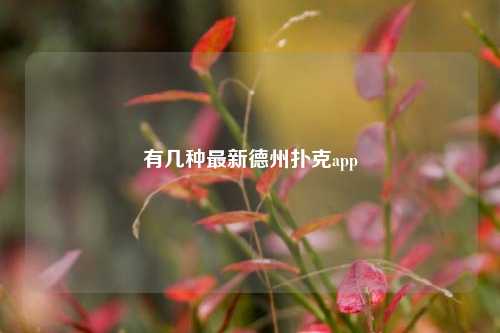 有几种最新德州扑克app