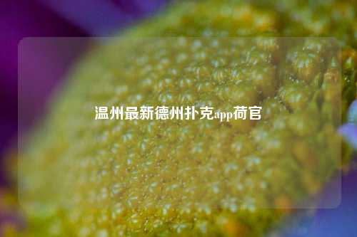 温州最新德州扑克app荷官