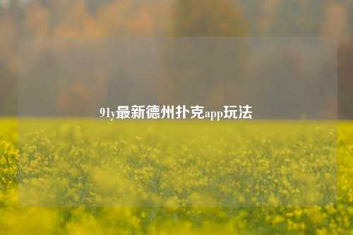 91y最新德州扑克app玩法