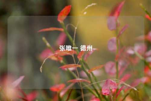 张唯一 德州