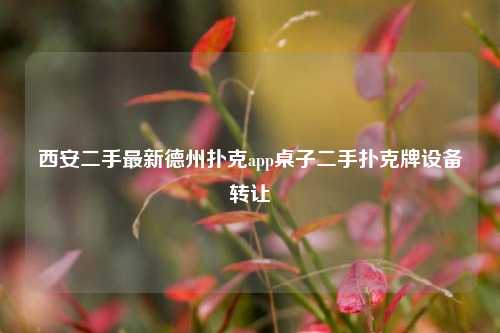 西安二手最新德州扑克app桌子二手扑克牌设备转让