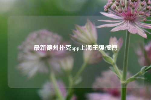 最新德州扑克app上海王强微博