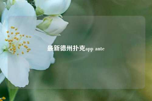 最新德州扑克app ante