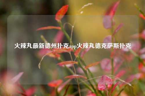 火辣丸最新德州扑克app火辣丸德克萨斯扑克