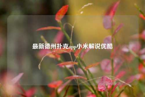 最新德州扑克app小米解说优酷