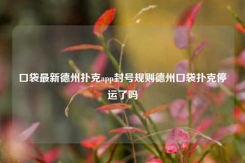 口袋最新德州扑克app封号规则德州口袋扑克停运了吗