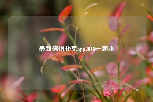 最新德州扑克app2018一滴水