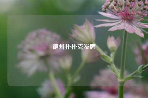 德州扑扑克发牌
