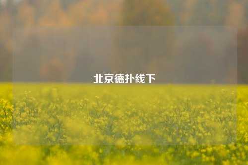 北京德扑线下