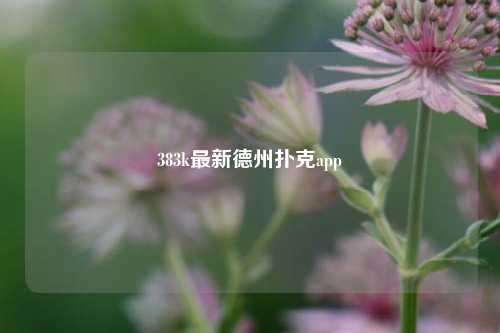 383k最新德州扑克app