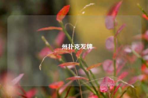 徳州扑克发牌