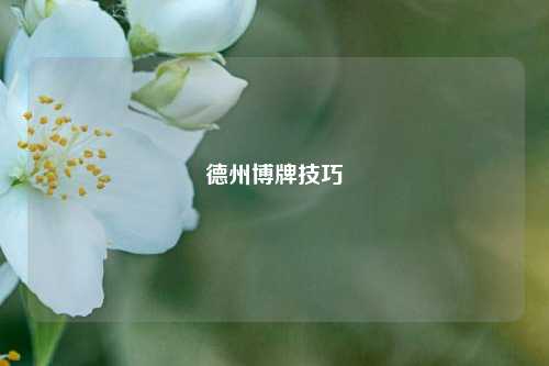 德州博牌技巧