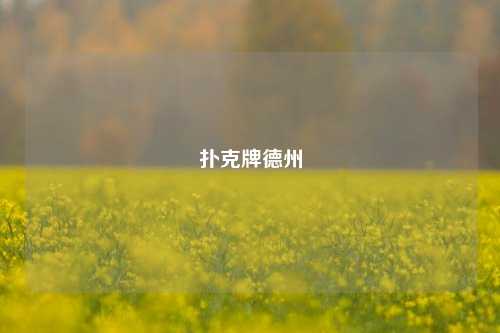 扑克牌德州