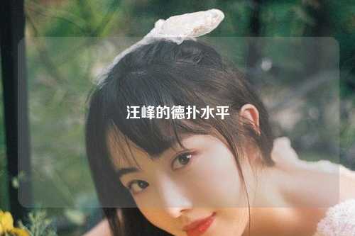 汪峰的德扑水平
