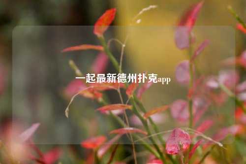一起最新德州扑克app