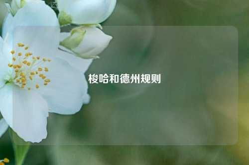 梭哈和德州规则