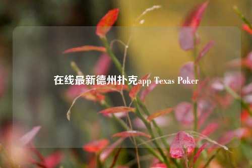 在线最新德州扑克app Texas Poker