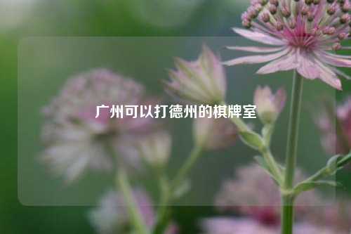 广州可以打德州的棋牌室