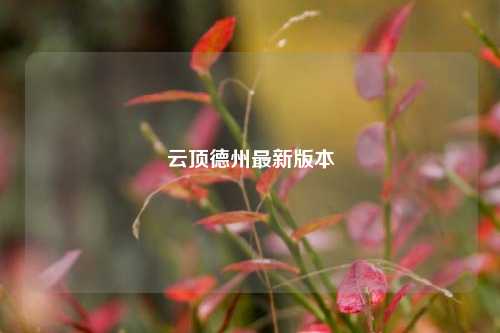 云顶德州最新版本