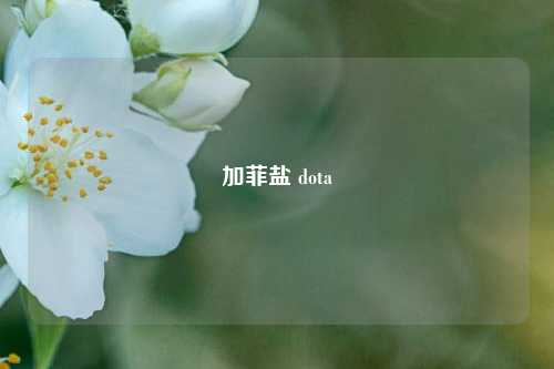 加菲盐 dota