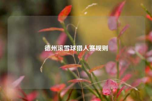 德州滚雪球猎人赛规则