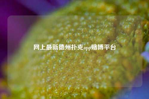 网上最新德州扑克app赌博平台