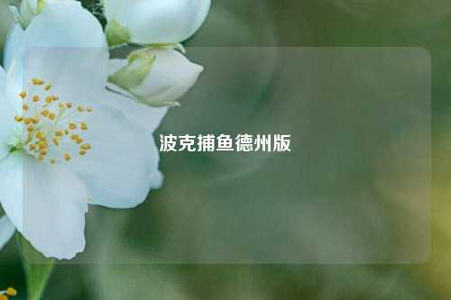 波克捕鱼德州版