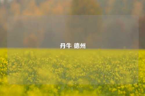 丹牛 德州
